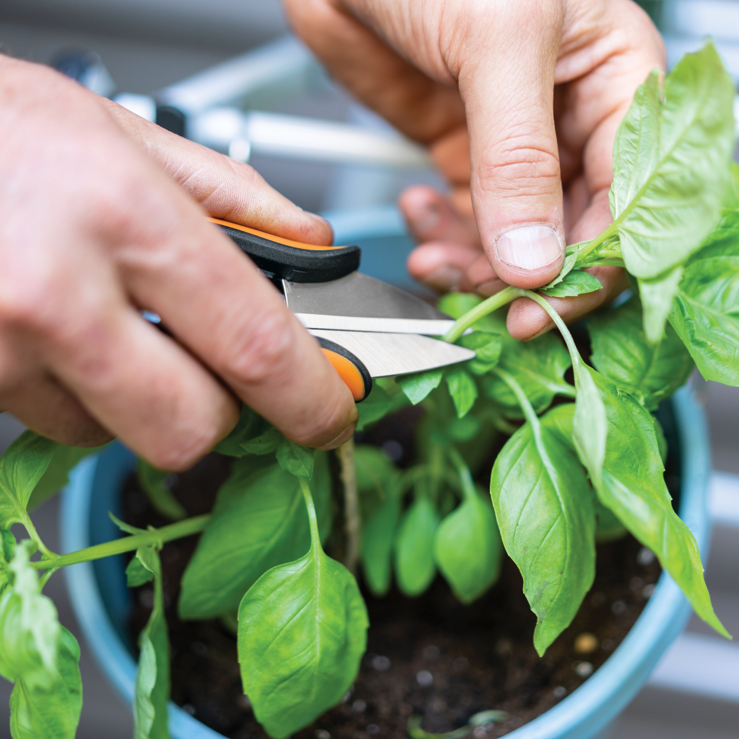 Fiskars Garden Herb Pruning Shears 5 Inch photo 7