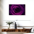thumbnail image 3 of Elephant Stock Dewy Purple Rose Wall Art - Horizontal Canvas Wall Art - Living Room Wall Decor - Gothic Canvas - Purple And Black Decor - 30" x 20", 3 of 8