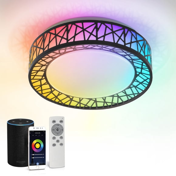 ASD Plafonnier Intelligent RGBW 12 Pouces avec Télécommande - Noir Mat 20W 120V 2700-6500K Dimmable, Contrôle par Application WiFi, Lumières RGB, Alexa & Google Assistant