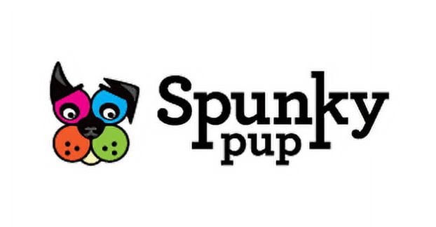 (2 pack) Spunky Pup Squeak & Glow Football Dog Toy