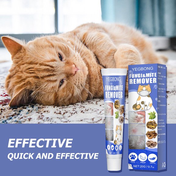 Ringworm Treatment Dogs