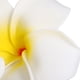 thumbnail image 2 of 4 pinzas para el pelo con flores hawaianas para novia, pasador tropical para playa, boda, flor de plumeria, para mujer, fiesta, novia, orquídea, accesorios para el pelo., 2 of 7