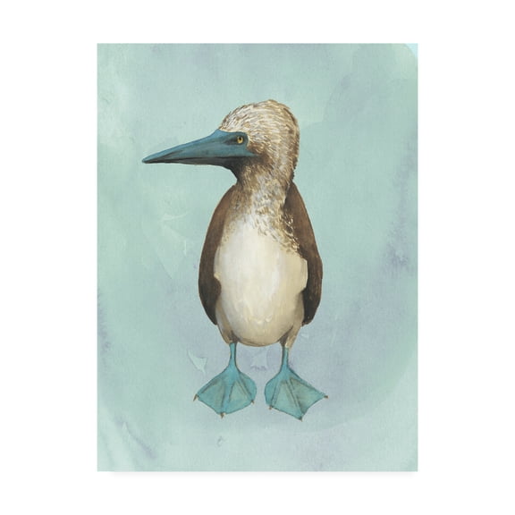 Trademark Fine Art 'Watercolor Beach Bird I' Canvas Art by Grace Popp