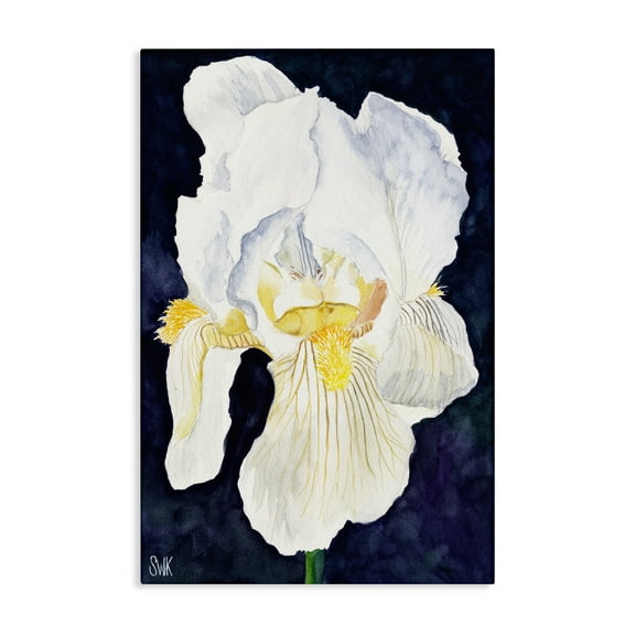 Stupell Industries White Iris Petals Abstract Painting Wrapped Canvas Canvas Art Print Wall Art, 16 x 24