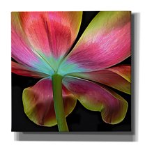 Epic Graffiti 'Guardian' by Pamela Plummer, Canvas Wall Art, 12"x12"