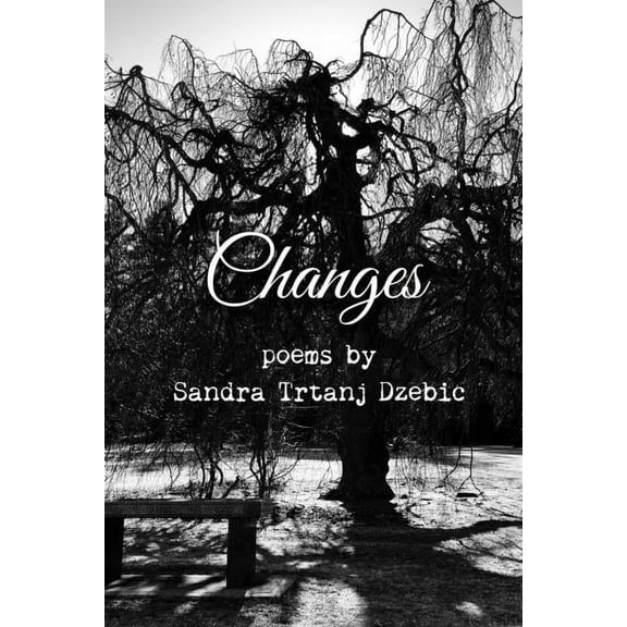 Changes (Paperback)