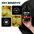 thumbnail image 5 of Vitamatic Creatine Gummies 5000mg per Serving Natural Lemon Flavor – 150 Gummies – Creatine Monohydrate for Muscle Strength, Energy & Recovery – Non-GMO, Gluten-Free, 5 of 10