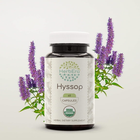 HerbEra Hyssop Capsules, Organic Herbal Dietary Supplement for Respiratory Support, Certified Organic Hyssop (Hyssopus officinalis) Dried Herb Capsules, Natural, 60 Capsules