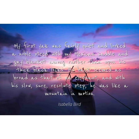 - Isabella Bird - Famous Quotes Laminated POSTER PRINT 24x20 - My first yak was fairly quiet and looked a noble steed with my Mexican saddle and gay blanket among rather than upon his thick black locks