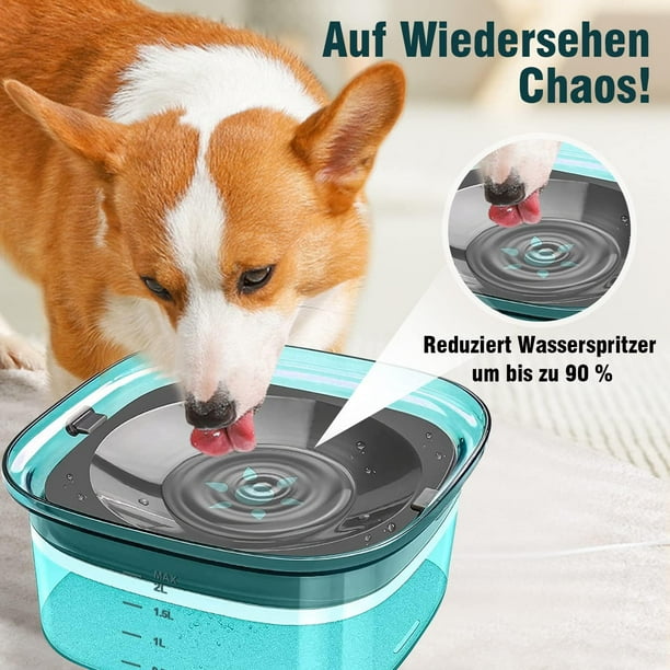 Dog water bowl walmart top