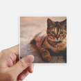thumbnail image 1 of Animal Quiet Cat Photograph Sticker Square Waterproof Stickers Wallpaper Car Decal, 1 of 1