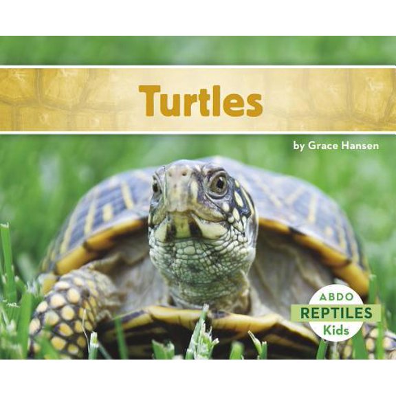 Pre-Owned Turtles