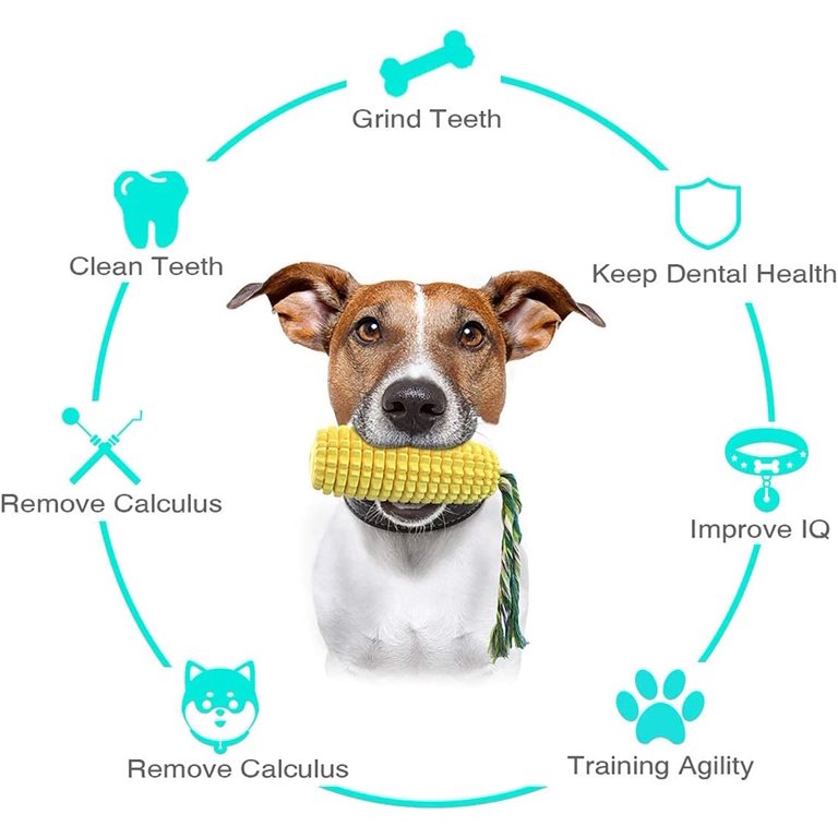 Dog Agility Training Toys Dogs Puppy Chew Toys Teeth Cleaning Bite  Resistant Interactive Dogs Toy Pet Supplies