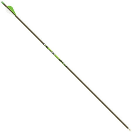 Gold Tip XT Hunter 7595 Arrows, 12pk (Best Gold Tip Arrows)