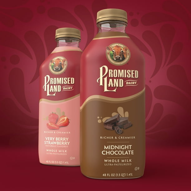 Promised Land Midnight Chocolate Flavored Whole Milk, 12 fl oz