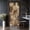 Color 1, variant on Door Stickers Peel and Stick Door Mural animal print Zebra ornament Seamless Removable Wallpaper 30.3''x78.7'' Self-Adhesive Mural for Kitchen Living Room Bedroom Decor