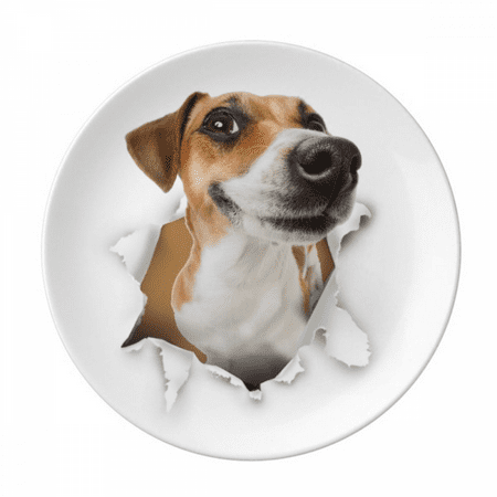 

Animal Paper Breaking Shock Pride Plate Decorative Porcelain Salver Tableware Dinner Dish