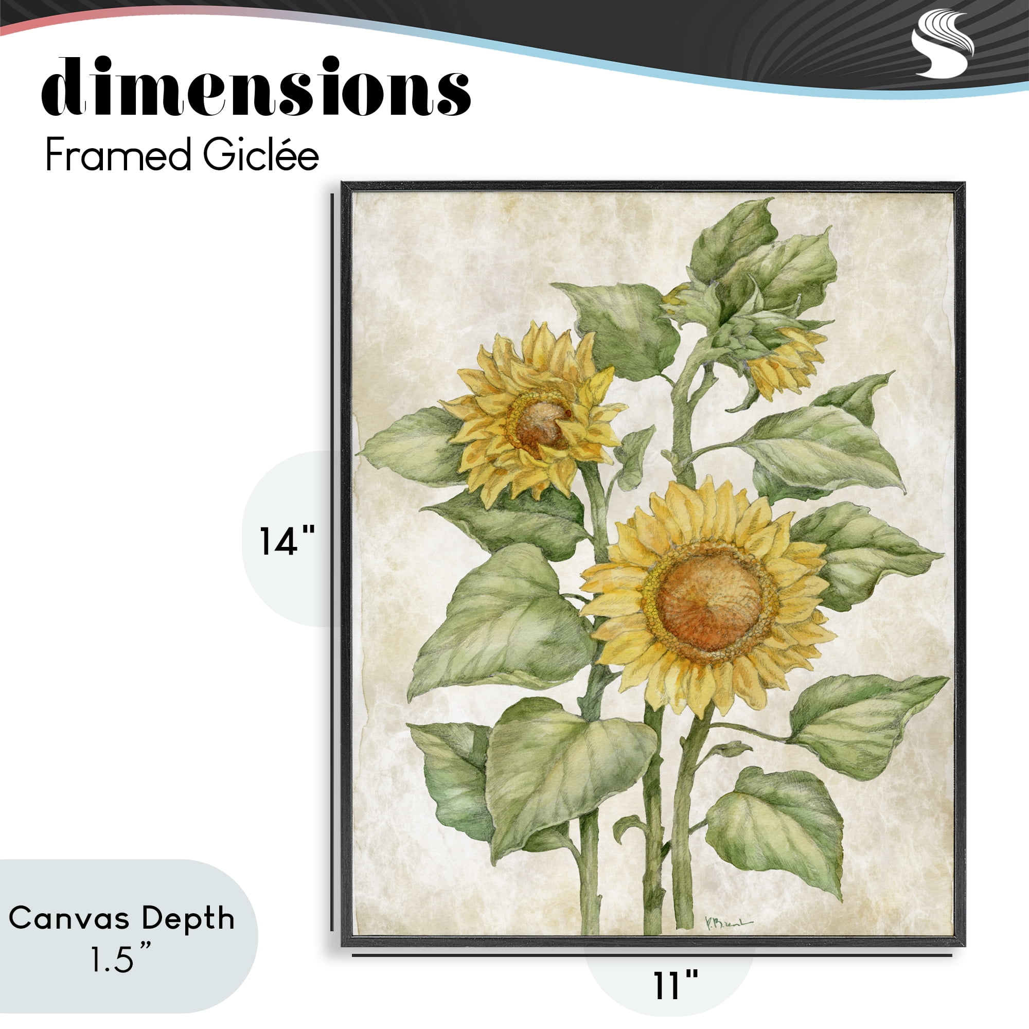 Stupell Industries Floral Journal Sunflower Black Framed Giclee Art, design by Paul Brent