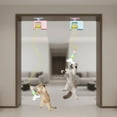 thumbnail image 6 of Ceiling Cat Teaser,Pet Cat Toys,Automatic Bouncing, Retractable Hanging Self Adhesive Suction Cups Interactive Cat Toys, 6 of 6