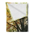 thumbnail image 2 of Forest Soft Flannel Fleece Blanket, Autumn View in a Forest with Faded Color Leaves European Northern Dutch Fall Image, Cozy Plush for Indoor and Outdoor Use, 60" x 80", Orange Green, by Ambesonne, 2 of 5