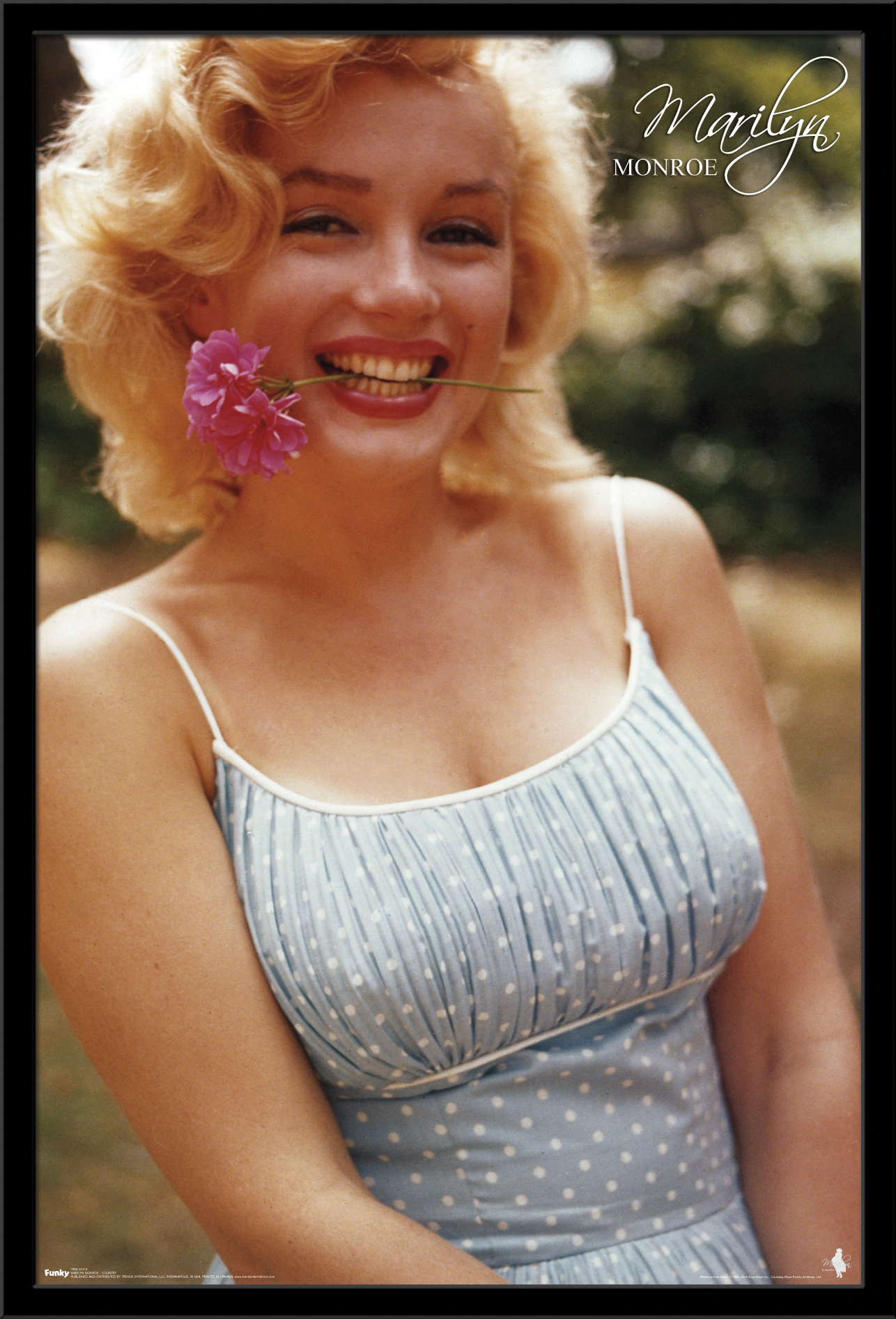 Marilyn Monroe - Country - image 1 of 2