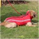 thumbnail image 2 of Chaqueta impermeable para perros, ropa para perros medianos y grandes, azul jengibre rojo rosa rojo XL, 2 of 5