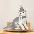 thumbnail image 4 of Pet Birthday Hat, Kitten Hat, Adjustable Pet Hat With Pom Pom Topper, 4 of 4