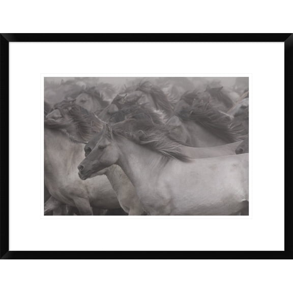 Global Gallery Dieter Uhlig 'Wildhorses' Framed Wall Art