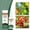 Multicolor, variant on Premium Microfertilizer Foliar Spray - Perfect for Hydroponics, Pots, and Open Soil. Ready to UseChelated Plant Nutrition Blend for Vegetables.