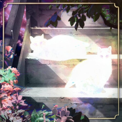 Scary Jokes - Retinal Bloom - Music & Performance - Vinyl