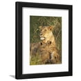 thumbnail image 1 of Lioness with Two Cubs Panthera Leo, Masai Mara Game Reserve, Kenya, East Africa, Africa, Animals Framed Art Print Wall Art by James Hager Sold by Art.Com, 1 of 5