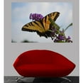thumbnail image 2 of Baker "Butterfly Resting" Wall Decal, 2 of 2