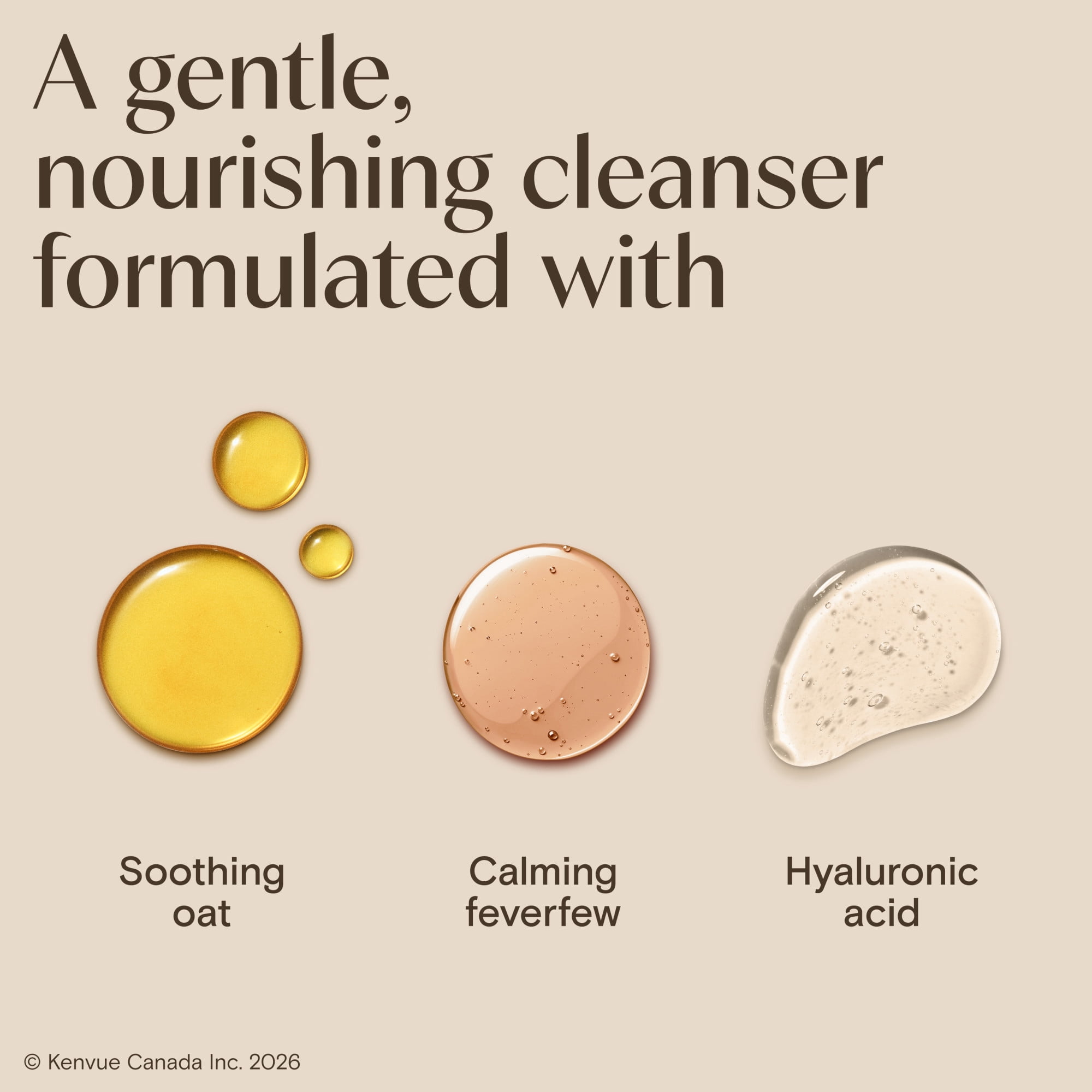 Aveeno Calm + Restore Foaming Cleanser for Sensitive Skin, Daily Face Wash Gently Removes Makeup & Cleanses Skin with Soothing Oat, 232 ml