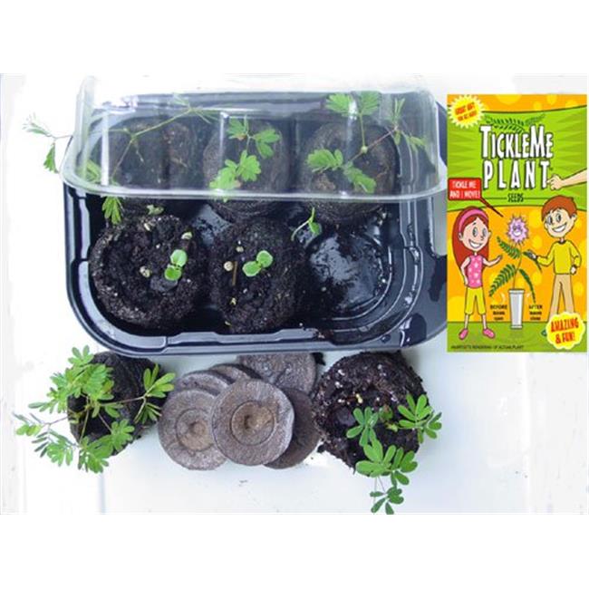 Plant Growing Kit 2 kits Walmart Canada