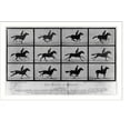 thumbnail image 2 of Historic Framed Print, The Horse in motion. Sallie Gardner, owned by Leland Stanford; running at a 1:40 gait over the Palo Alto track, 19th June 1878.Muybridge., 17-7/8" x 21-7/8", 2 of 9