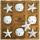 thumbnail image 1 of Juego Tic Tac Toe Nautical Crush Starfish & Sand Dollars, 1 of 7