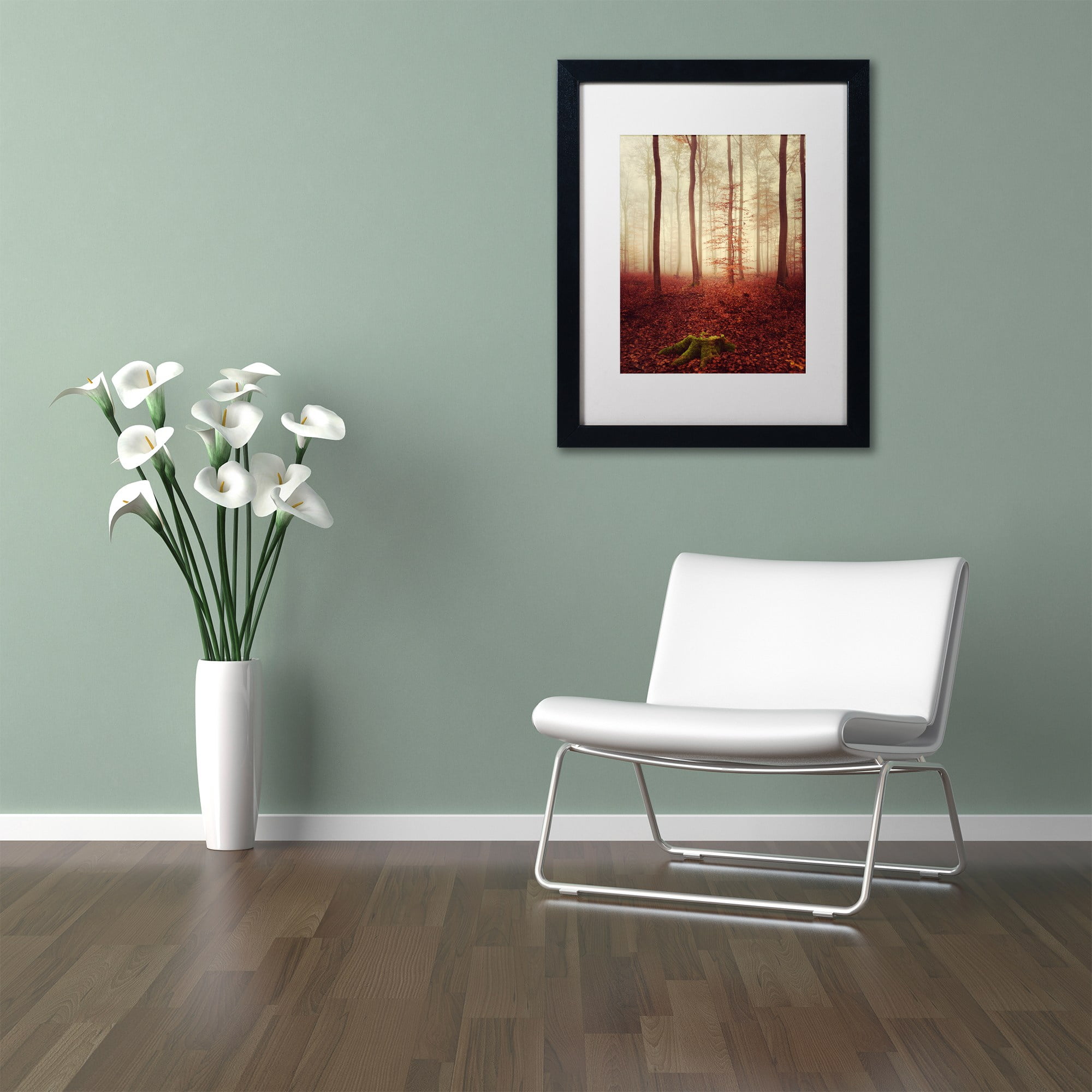 Trademark Fine Art "Land of the Free" Canvas Art by Philippe Sainte-Laudy White Matte, Black Frame