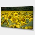 thumbnail image 2 of Bright Yellow Sunflowers Field - Floral Canvas Art Print, 2 of 3