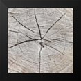 thumbnail image 2 of Grey, Jace 20x20 Black Modern Framed Museum Art Print Titled - Tree Rings, 2 of 5
