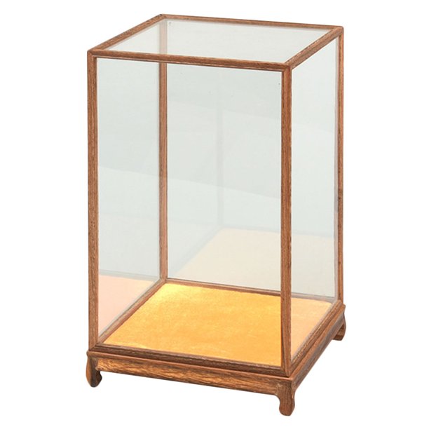 EeaseMX Caja de exhibición para el hogar, vitrina transparente, vitrina multifunción para figuras, accesorio de exhibición