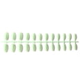 thumbnail image 3 of Vogacara 24 piezas de uñas postizas de ataúd resistentes a los arañazos de bailarina corta coloridas uñas acrílicas artificiales de color sólido DIY Juegos de manicura 4 verde matcha Vogacara CE011412-04, 3 of 4