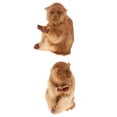 thumbnail image 1 of Vivid Arts - ANIMALES - SITTING Claro Y color, 1 of 9
