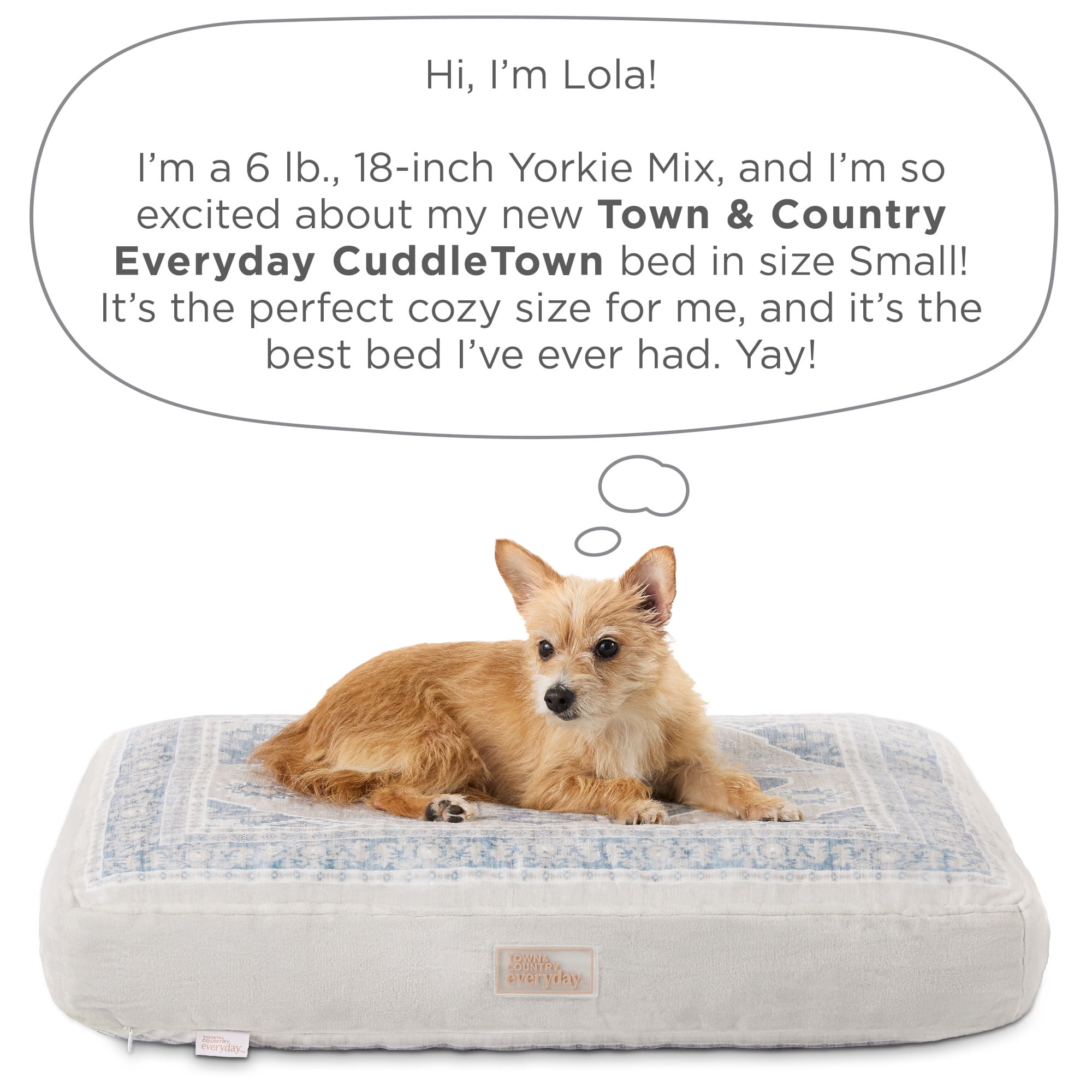 TOWN & COUNTRY EVERYDAY CuddleTown Medallion Everwash® Pillow Pet Bed, Water Repellent Floor Pillow, Machine Washable Cover, Soft & Calming, Blue/Greige, Small 28"x22"x4"
