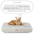 thumbnail image 6 of TOWN & COUNTRY EVERYDAY CuddleTown Medallion Everwash® Pillow Pet Bed, Water Repellent Floor Pillow, Machine Washable Cover, Soft & Calming, Blue/Greige, Small 28"x22"x4", 6 of 7