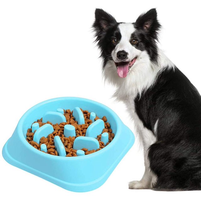 19,3 cm, Boca del cuenco: 17,5 cm, Altura: 4,3 cm) Cuenco colgante para mascotas Cesta de comida para gatos de acero inoxidable Bebedero para mascotas (XL:
