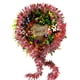 thumbnail image 1 of Guirnalda Navideña De Eucalipto Para Puerta Y Ventana, Decoración De Pared, Adornos, Corona Navideña, Decoración Navideña Guardurnaity HA038762-00, 1 of 6
