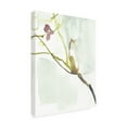 thumbnail image 2 of Trademark Fine Art 'First Blooms VI' Canvas Art by Jennifer Goldberger, 2 of 3