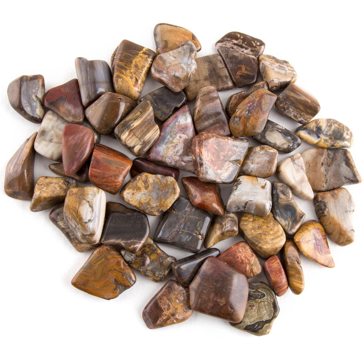 1 lb Petrified Wood tumbled stones H558-GTPETWB