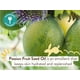 thumbnail image 5 of Protector solar en aerosol Babo Botanicals Swim & Sport SPF 30, 5 of 8