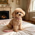 thumbnail image 5 of Nkmbld Pearl Dog Collar Pearl Beaded Pet Leash Leather Collar with Lockable Hooks and Pearls Necklace Accessories for Puppy Kitten Party Wedding Birthday, 5 of 8
